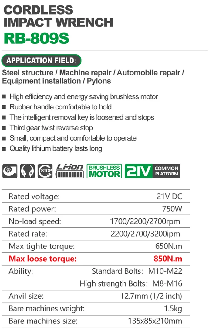 gaykovert_ruiba_rb809s