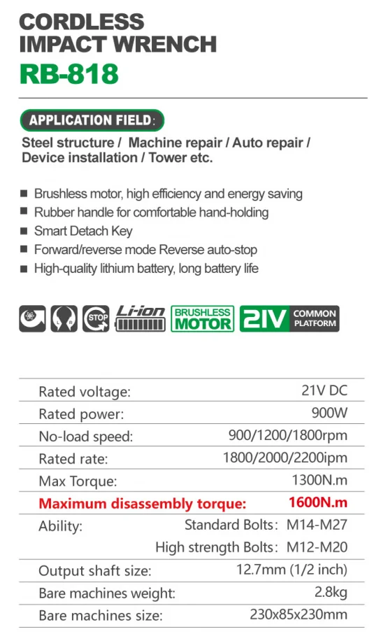 gaykovert_ruiba_rb818
