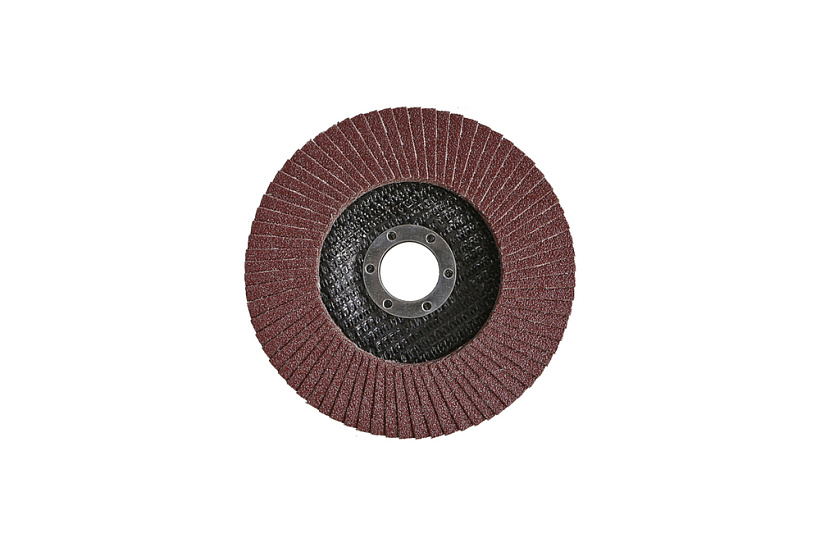 krug_zachistnoy_lepestkovyy_125kh22mm_r100_sturm